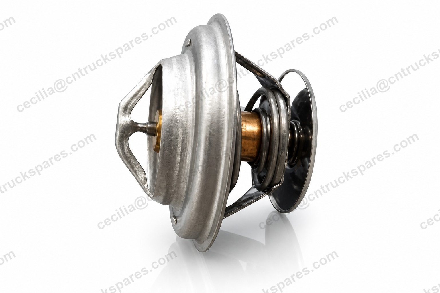 612630060031 Thermostat